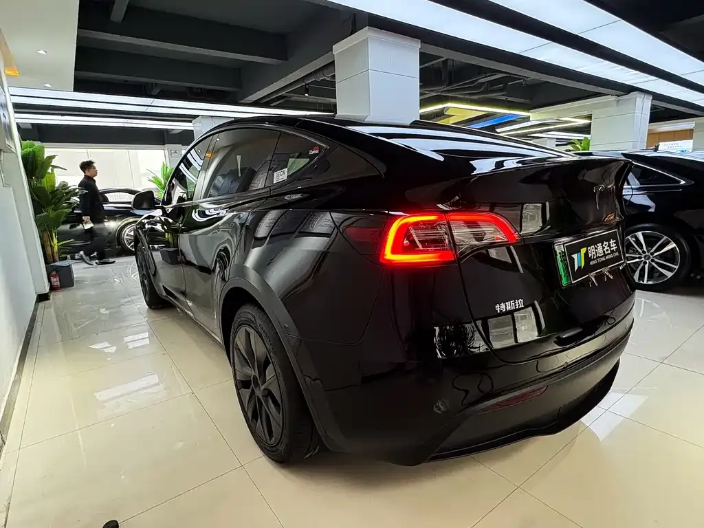 Tesla Model Y — фото 3