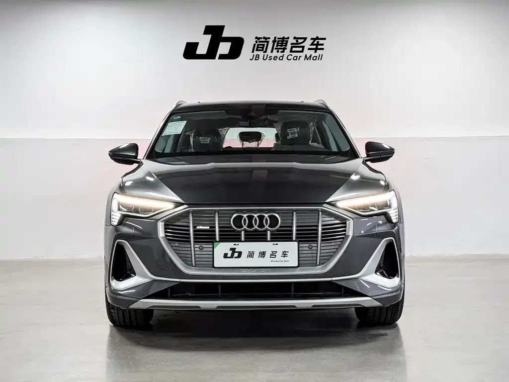 Audi e-tron — фото 10
