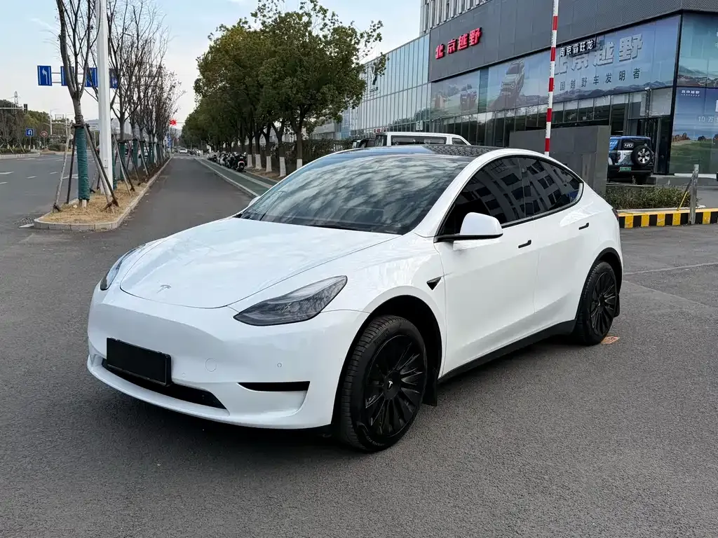Tesla Model Y — фото 1