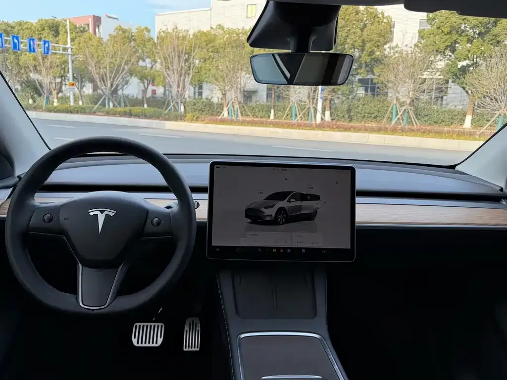 Tesla Model Y — фото 2