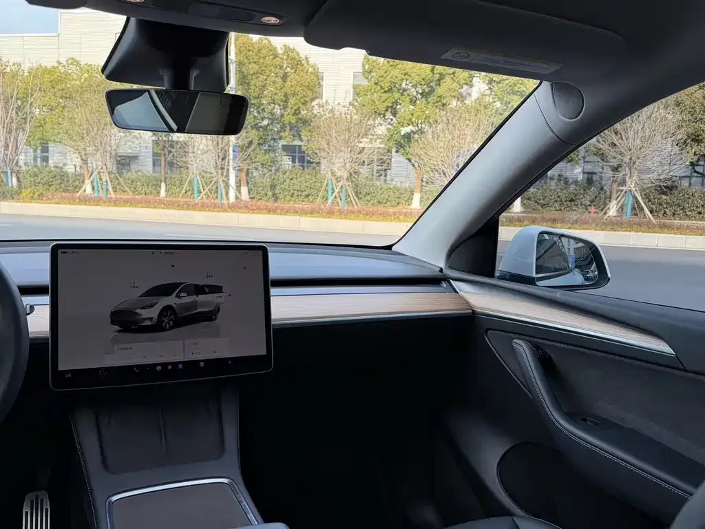 Tesla Model Y — фото 7