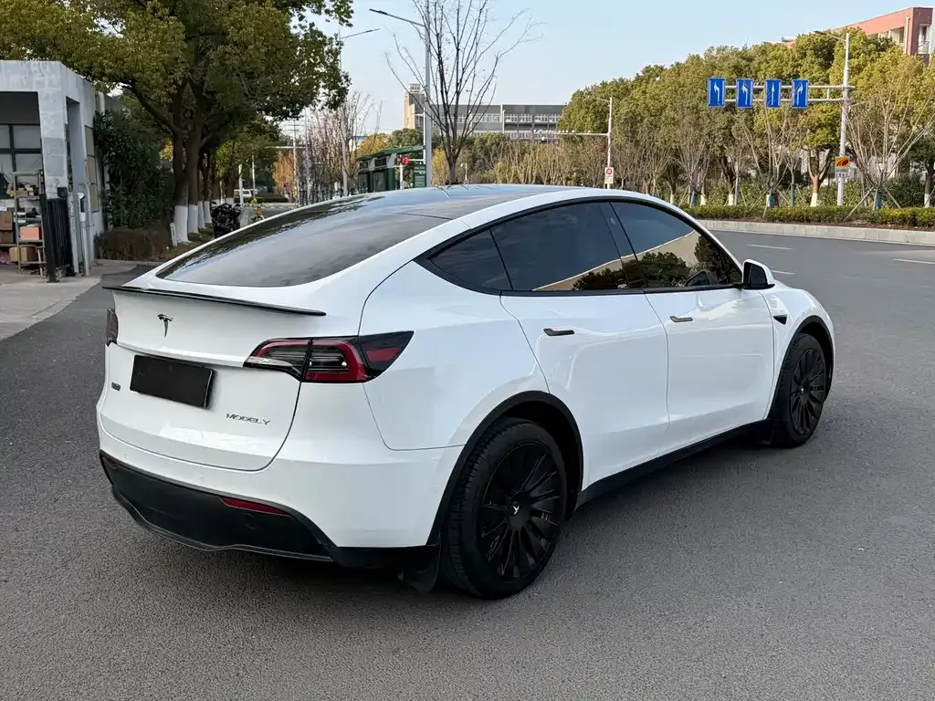 Tesla Model Y — фото 8