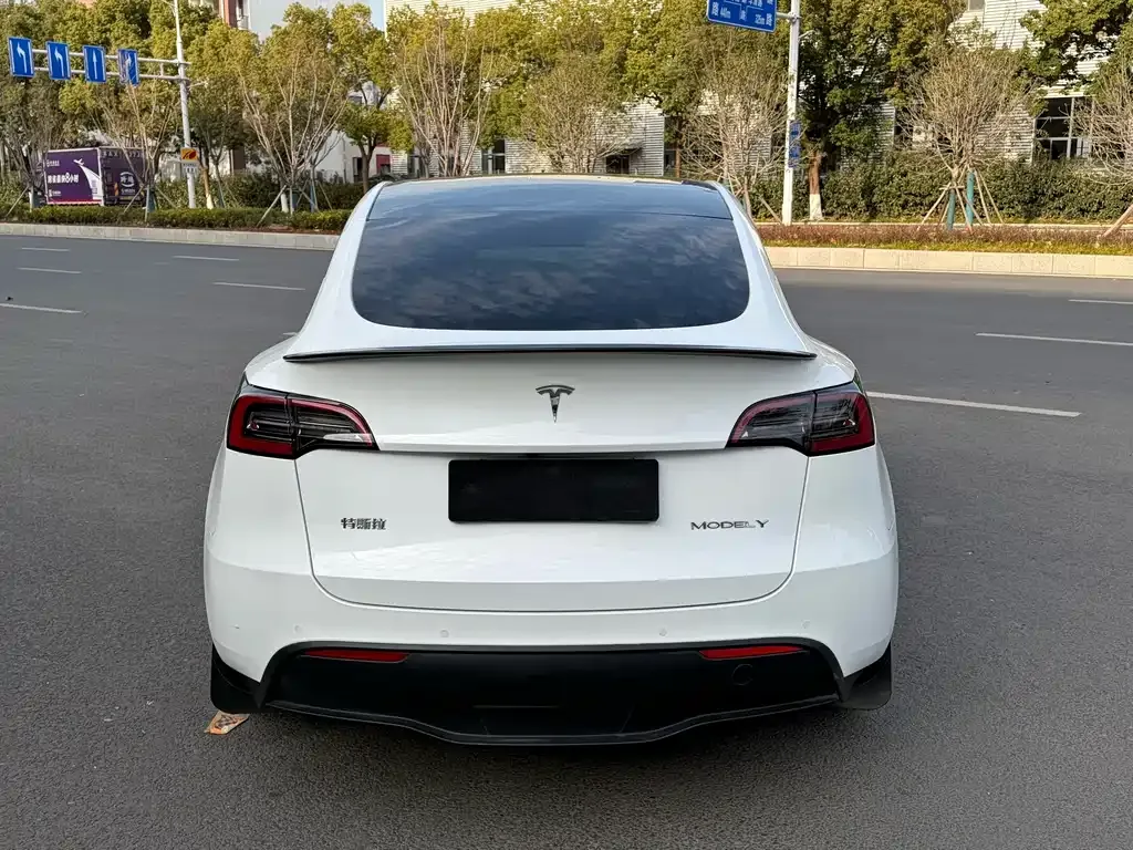 Tesla Model Y — фото 9