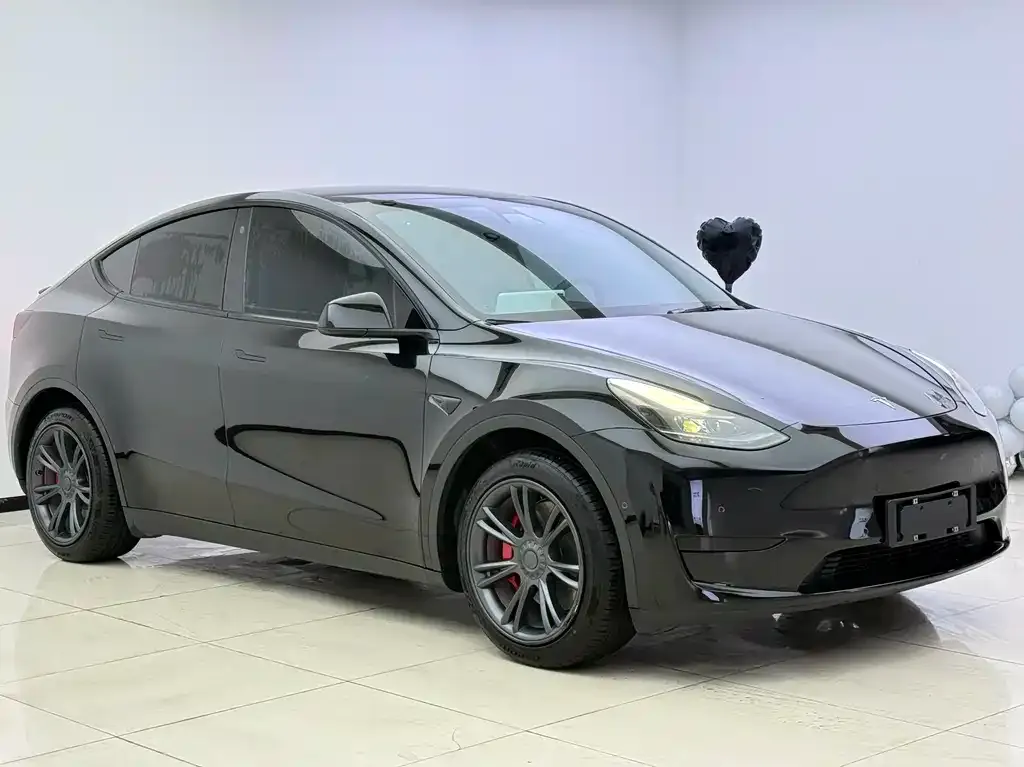 Tesla Model Y — фото 4