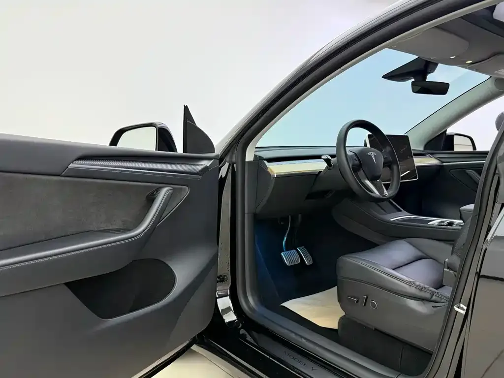 Tesla Model Y — фото 10