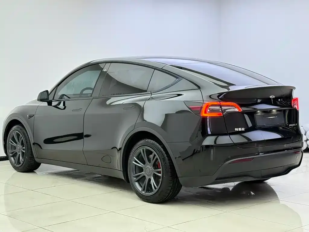 Tesla Model Y — фото 5