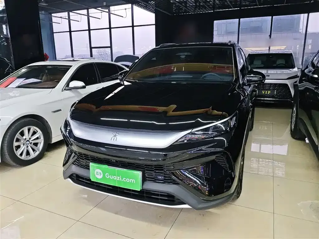 BYD Pro New Energy — фото 2