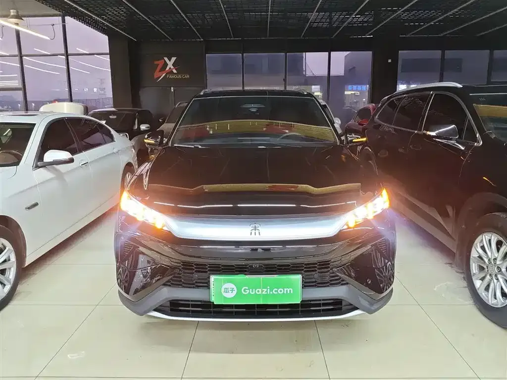 BYD Pro New Energy — фото 6
