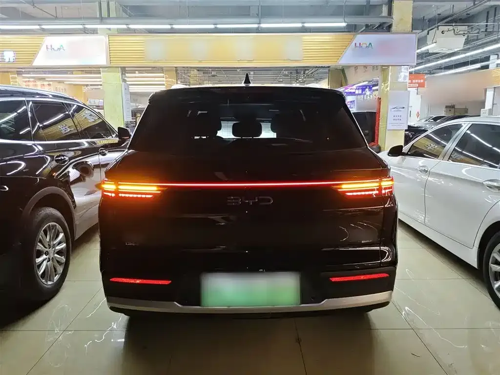BYD Pro New Energy — фото 7