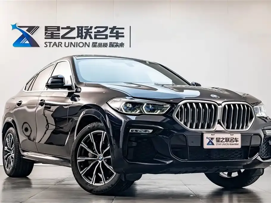 BMW X6 — фото 6