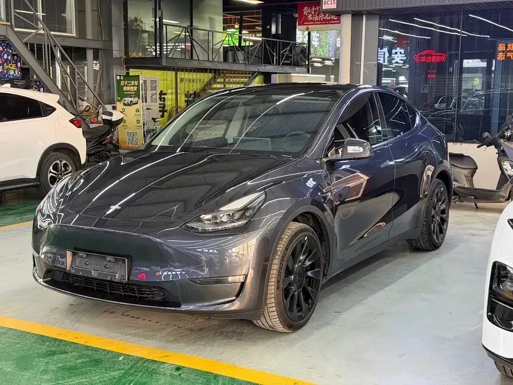 Tesla Model Y — фото 1