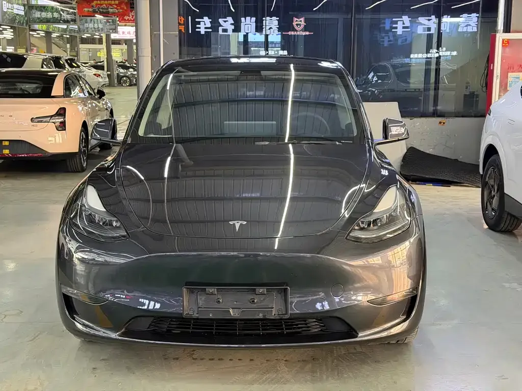 Tesla Model Y — фото 6
