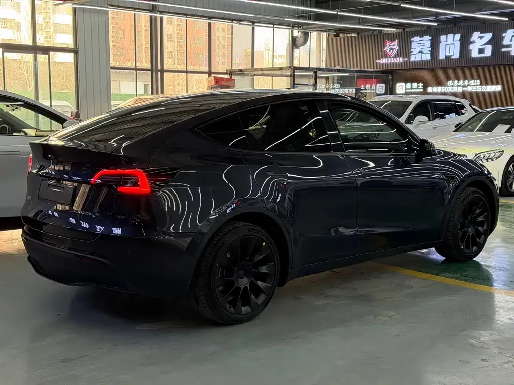 Tesla Model Y — фото 10