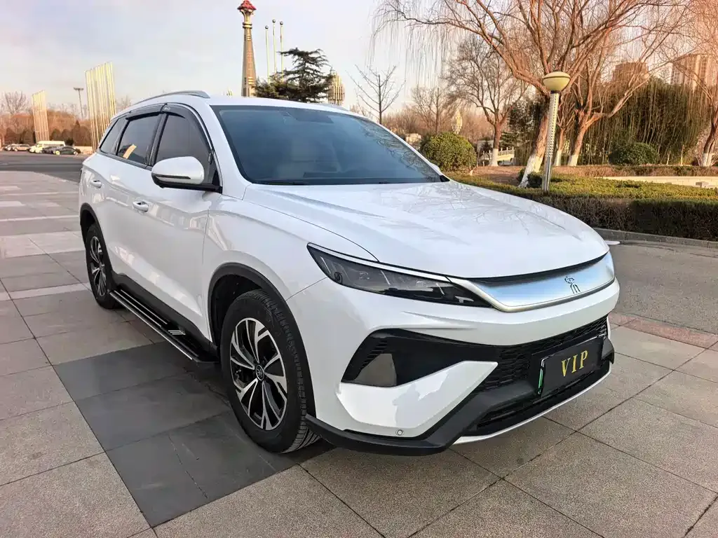BYD Pro New Energy — фото 9