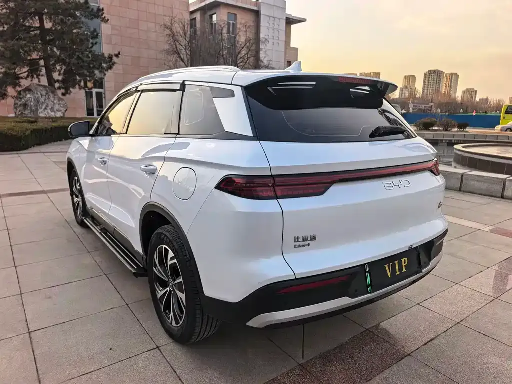 BYD Pro New Energy — фото 6