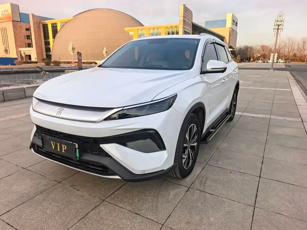 BYD Pro New Energy — фото 10
