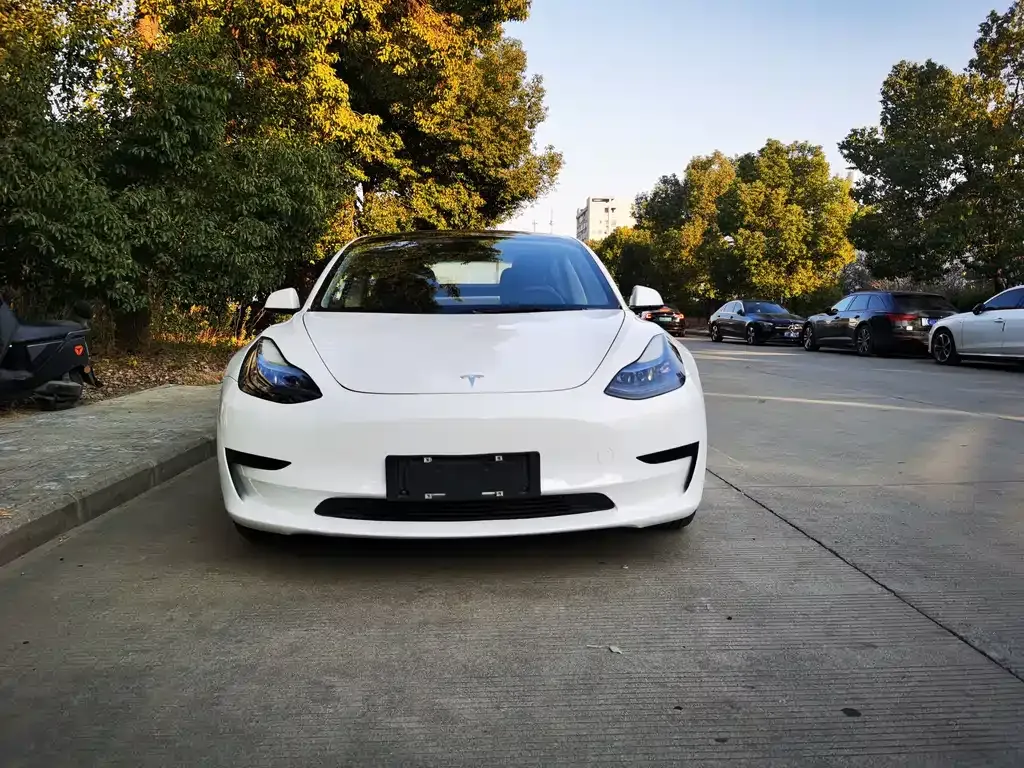 Tesla Model 3 — фото 1