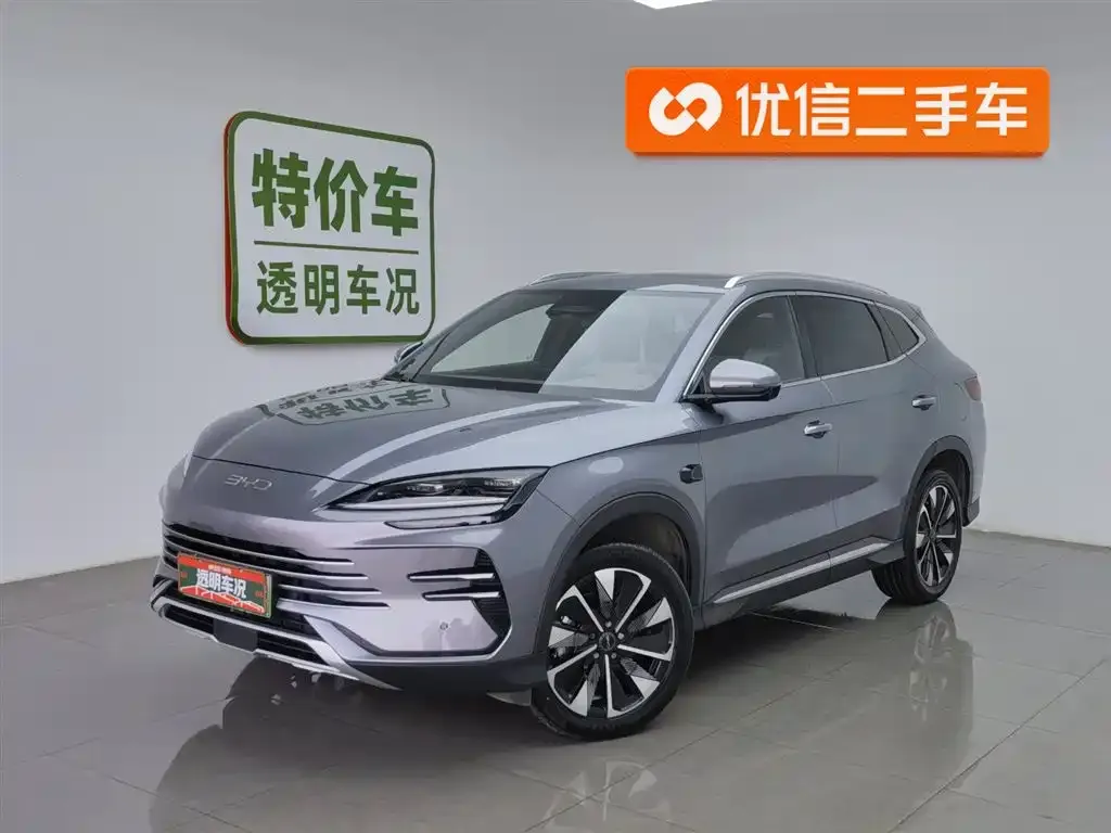 BYD PLUS New Energy — фото 1