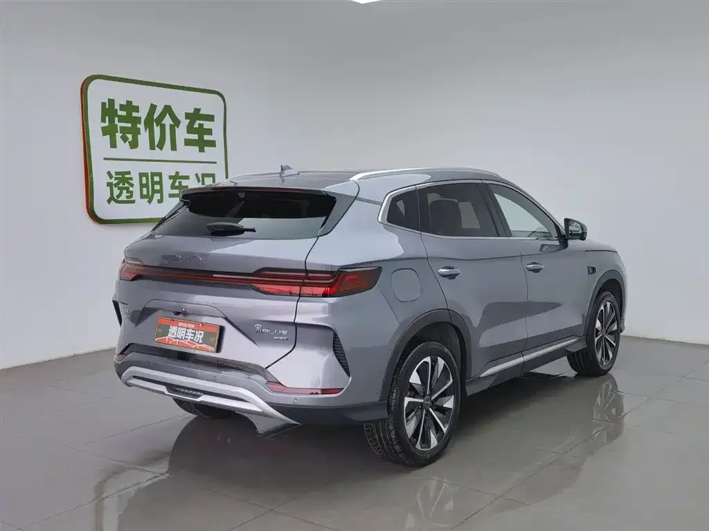 BYD PLUS New Energy — фото 2