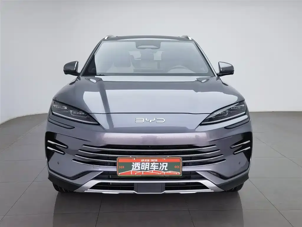 BYD PLUS New Energy — фото 4