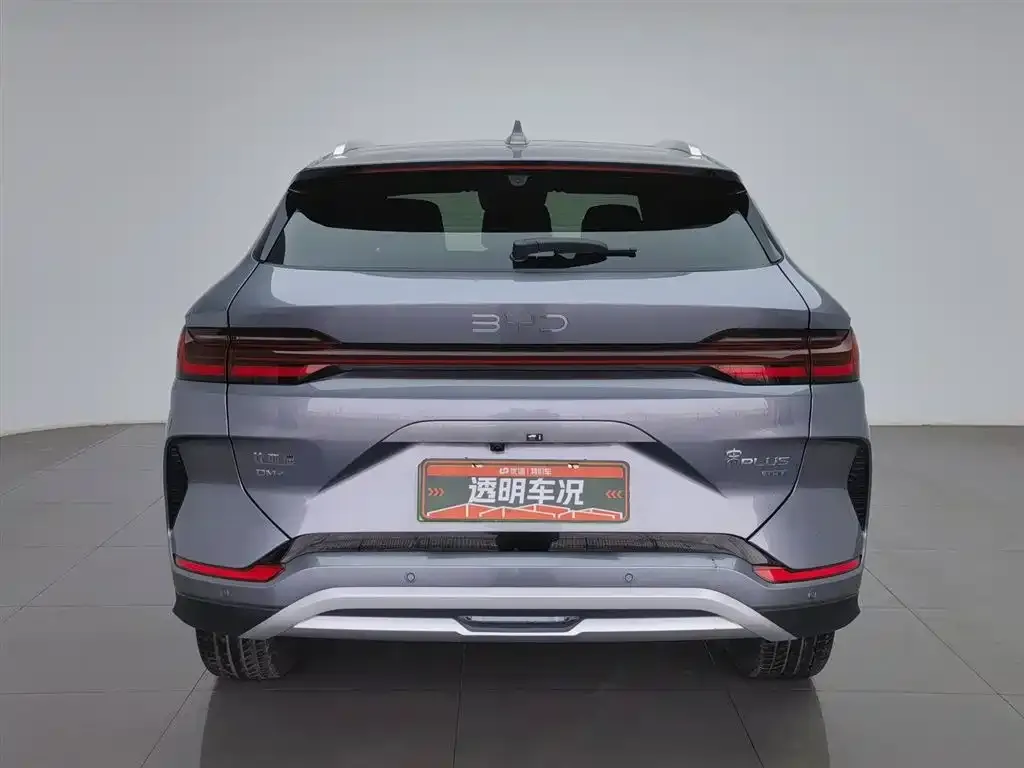 BYD PLUS New Energy — фото 8