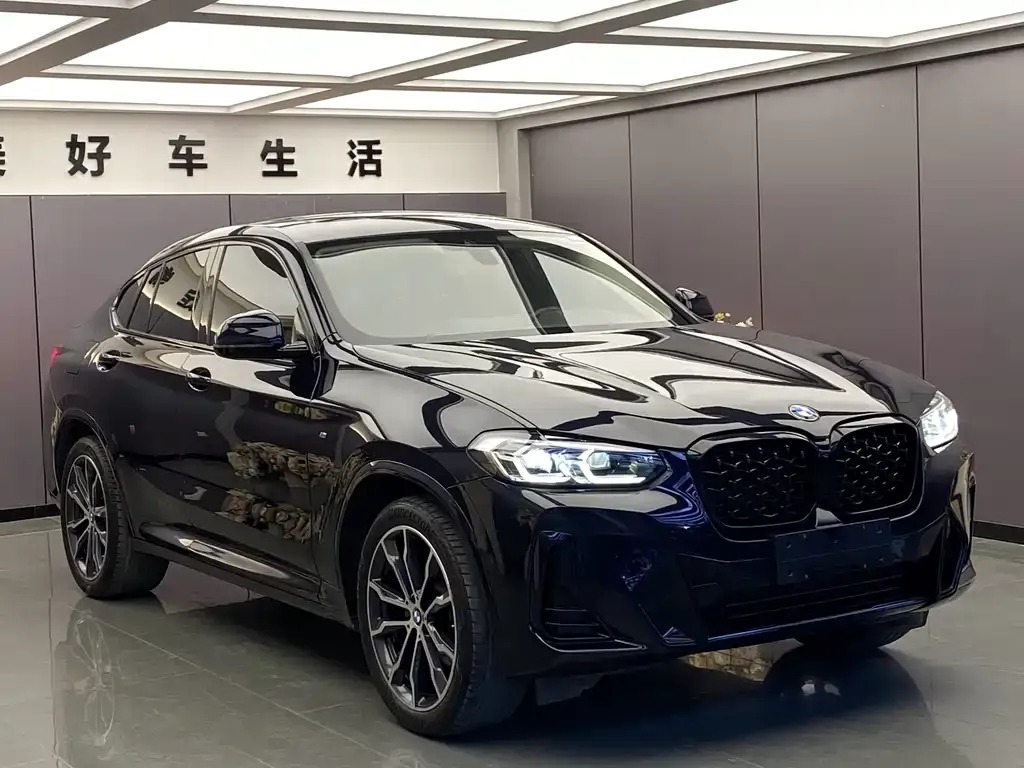 BMW X4 — фото 10