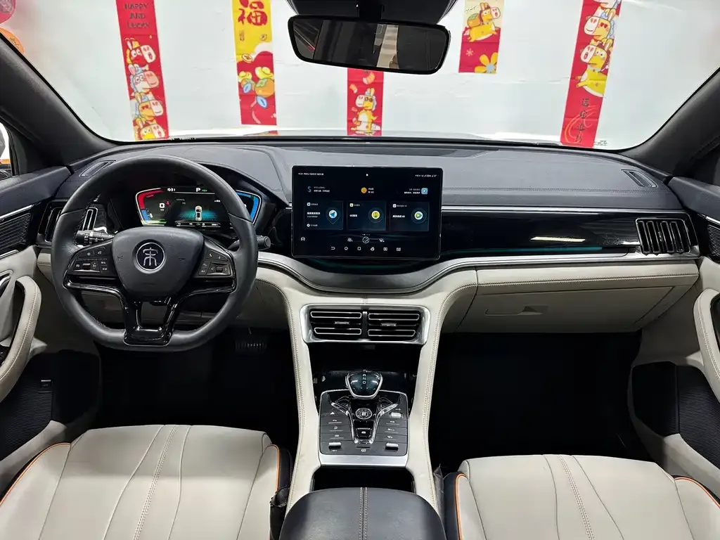 BYD PLUS New Energy — фото 4