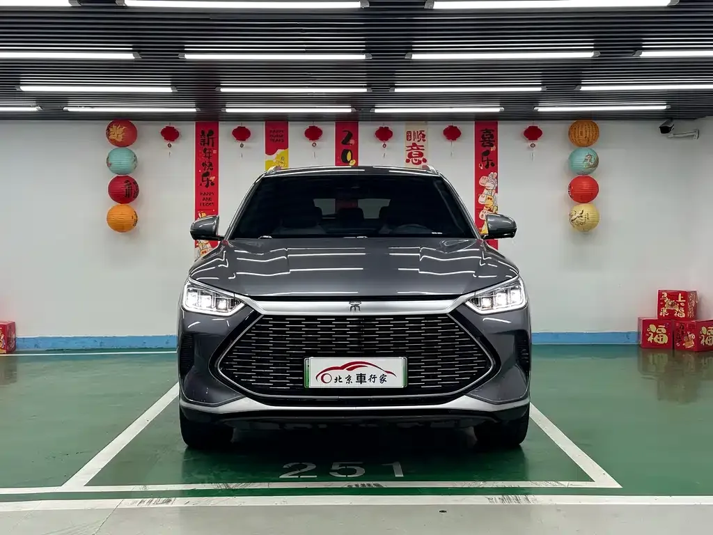 BYD PLUS New Energy — фото 2