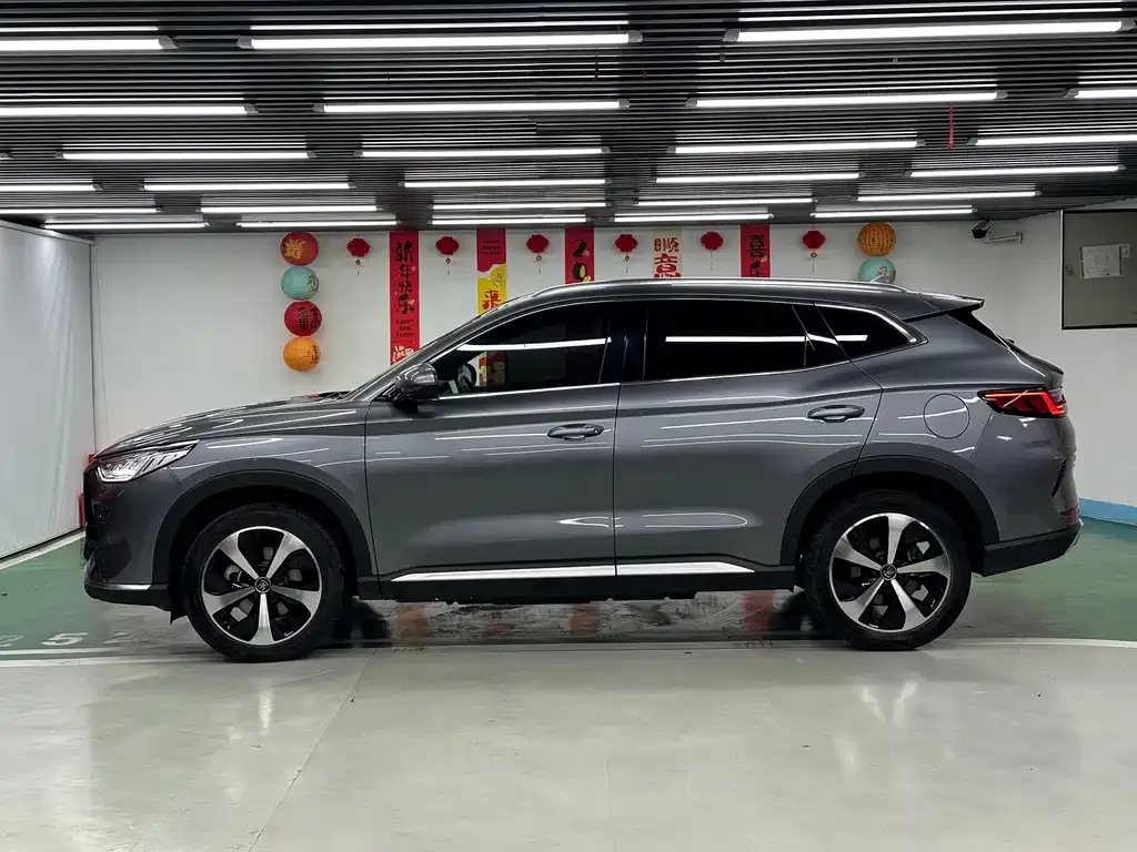 BYD PLUS New Energy — фото 10