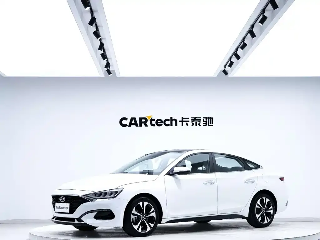 Hyundai Fista — фото 1