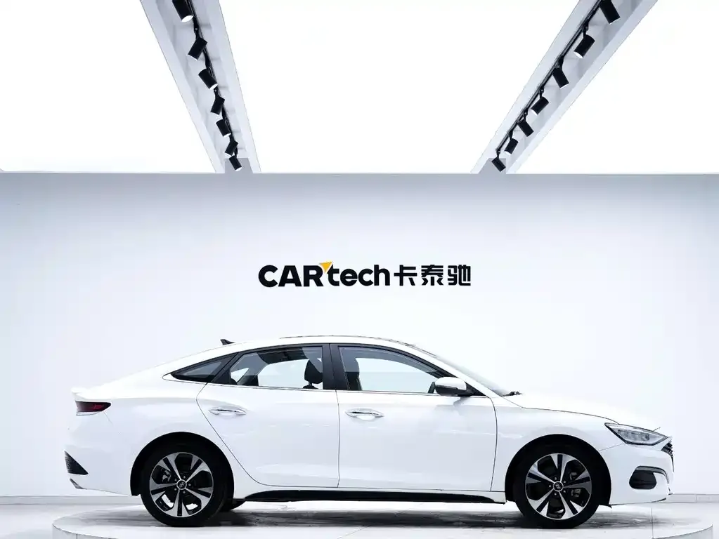 Hyundai Fista — фото 10