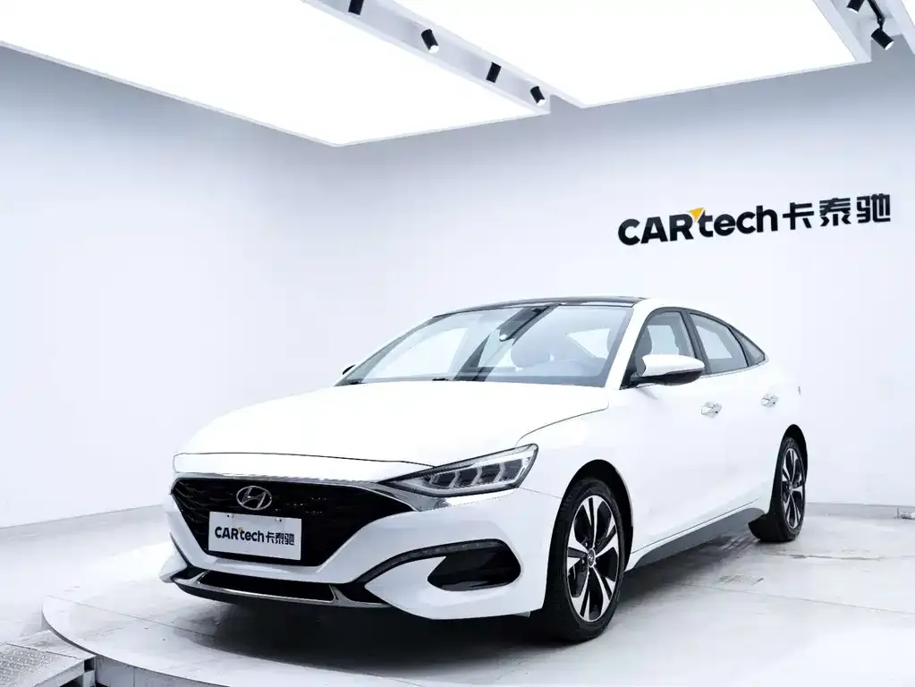 Hyundai Fista — фото 8