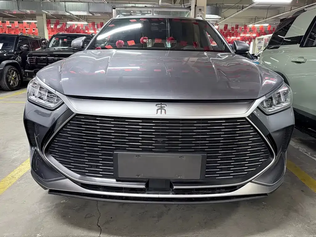 BYD PLUS New Energy — фото 6