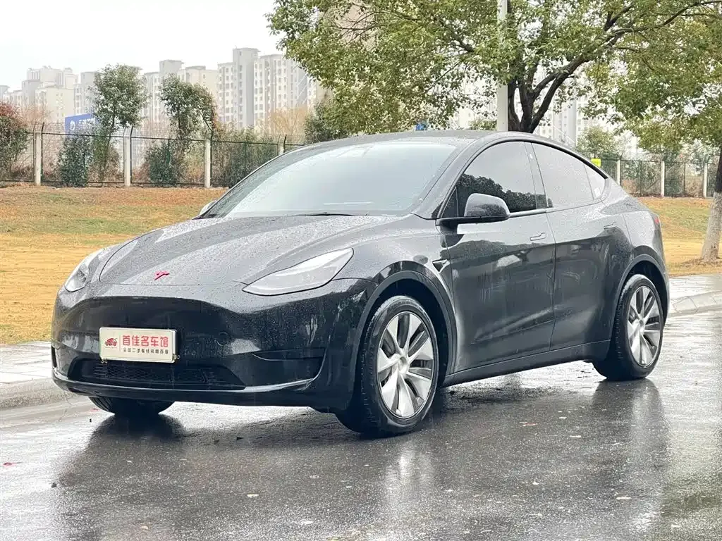 Tesla Model Y — фото 1