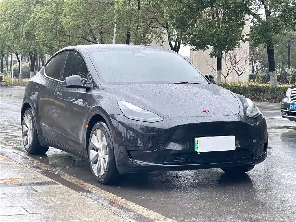 Tesla Model Y — фото 8