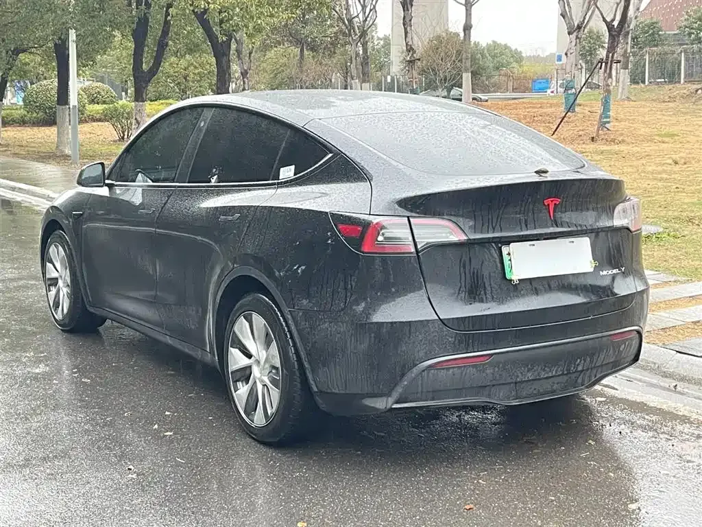 Tesla Model Y — фото 10