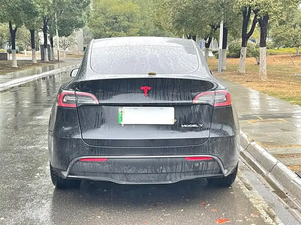 Tesla Model Y — фото 5