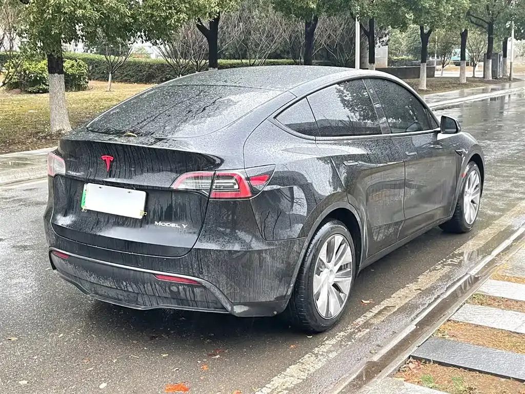 Tesla Model Y — фото 6