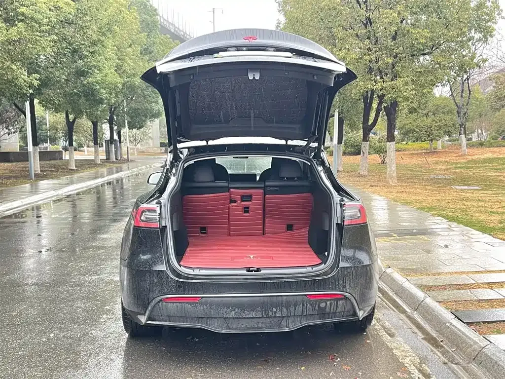 Tesla Model Y — фото 9