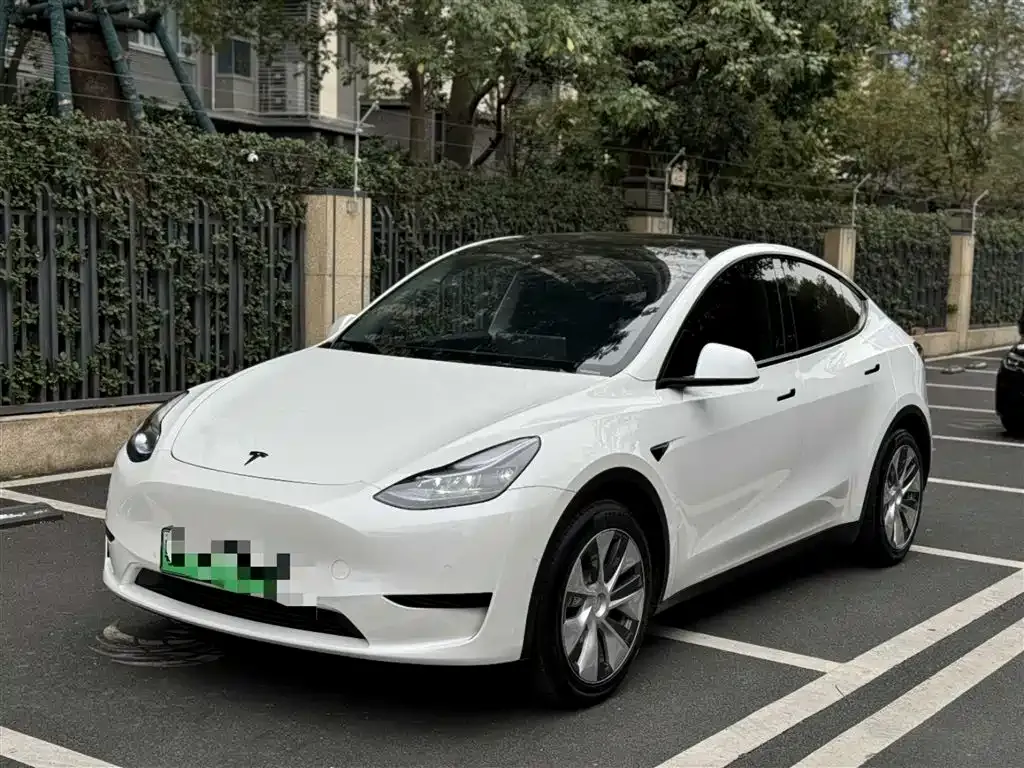 Tesla Model Y — фото 1