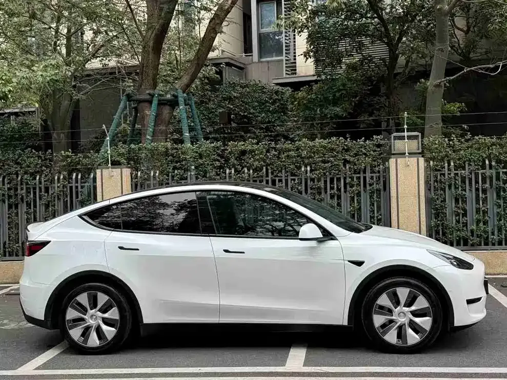 Tesla Model Y — фото 7