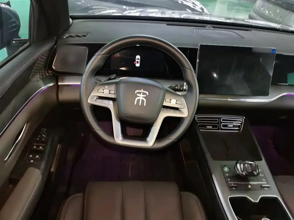 BYD Pro New Energy — фото 7
