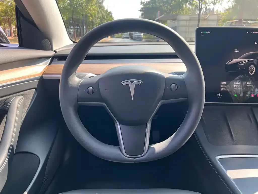 Tesla Model 3 — фото 4