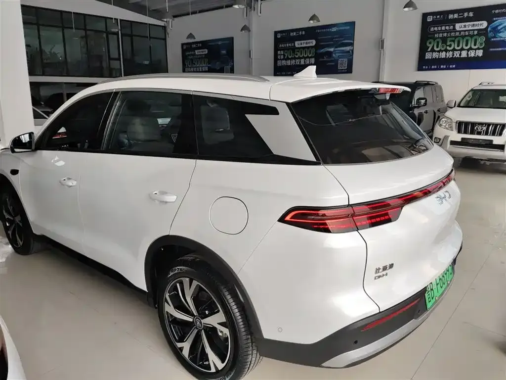 BYD Pro New Energy — фото 9