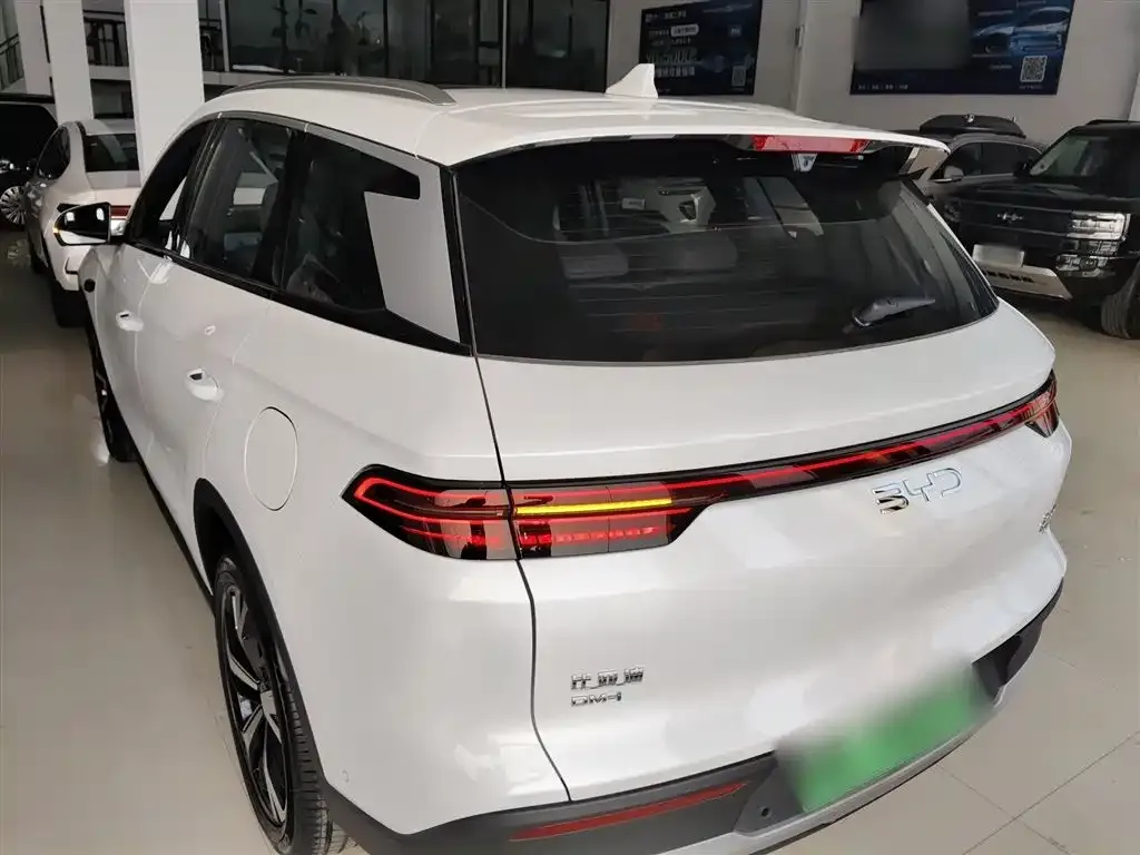 BYD Pro New Energy — фото 7