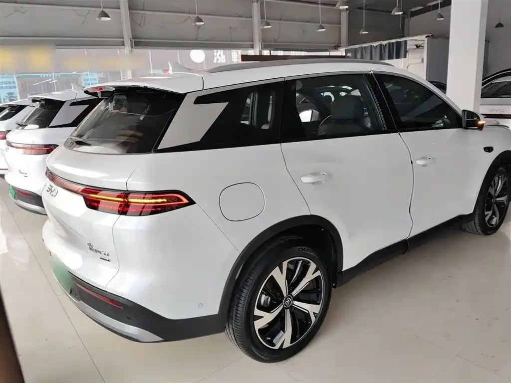 BYD Pro New Energy — фото 8