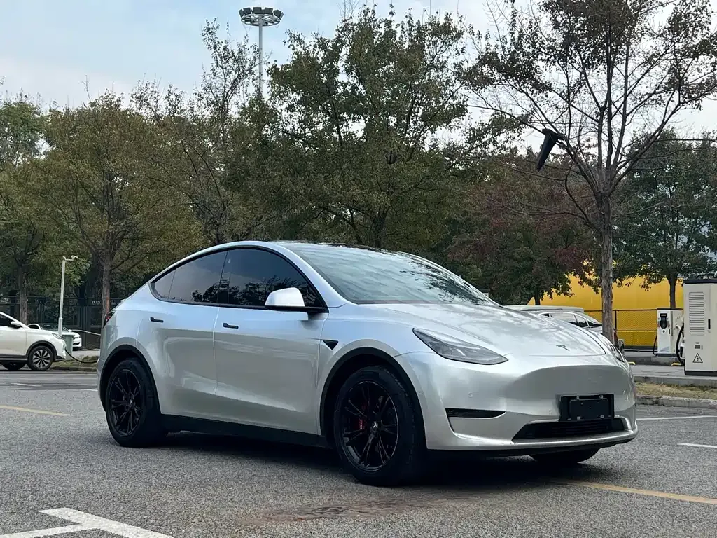 Tesla Model Y — фото 10