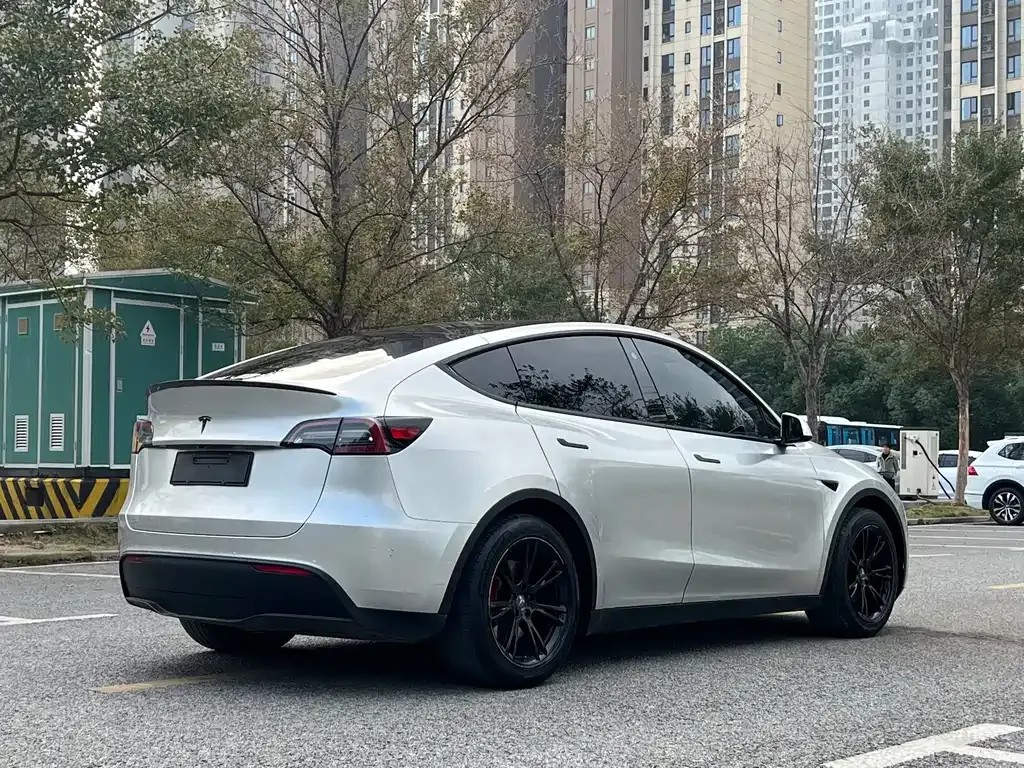 Tesla Model Y — фото 8