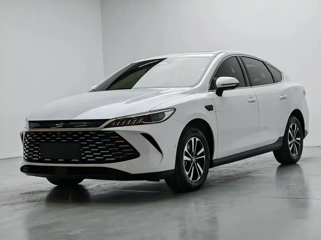 BYD Qin PLUS — фото 1