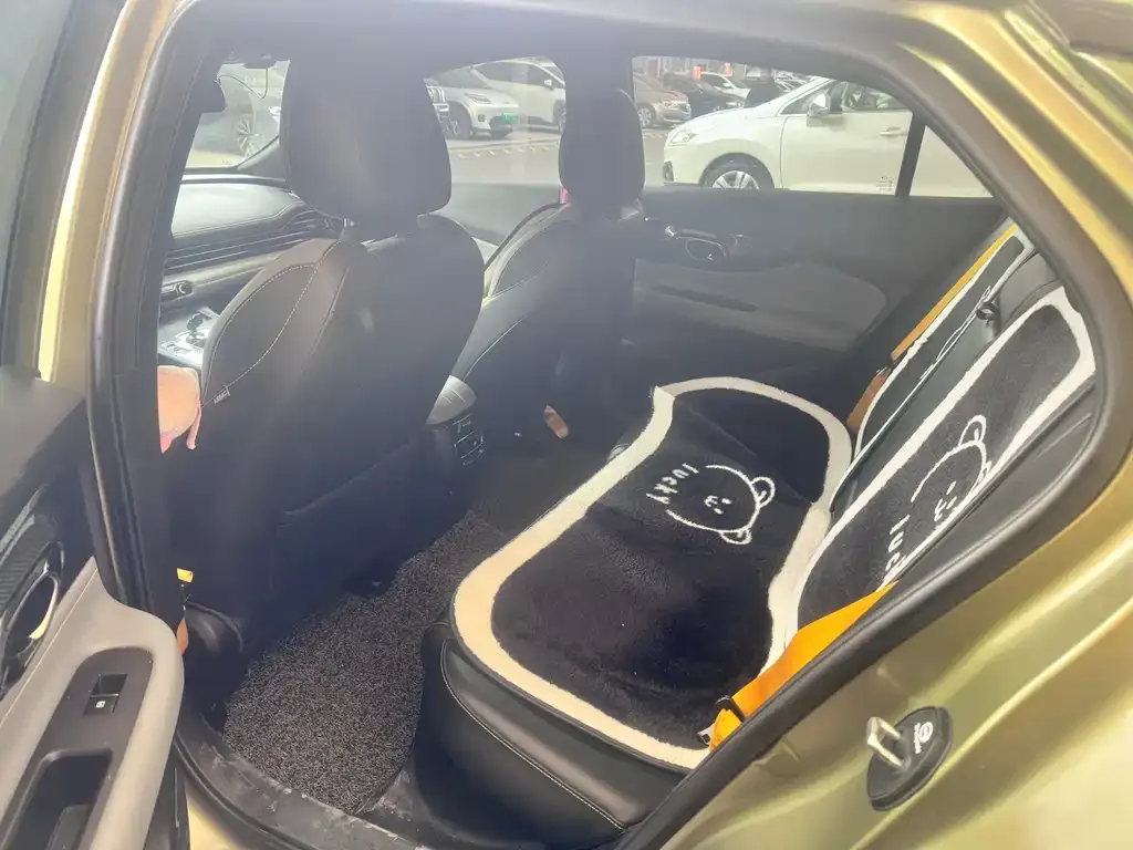 GAC Motor Shadow Leopard — фото 7